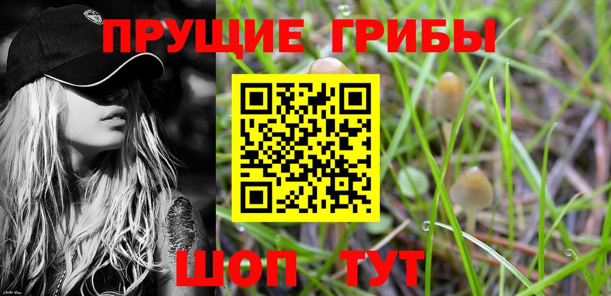 Конопля Татарск
