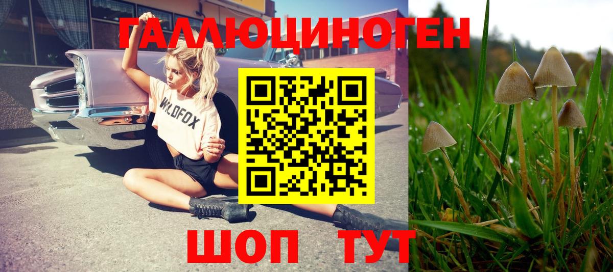 Псилоцибиновые грибы GOLDEN TEACHER Татарск